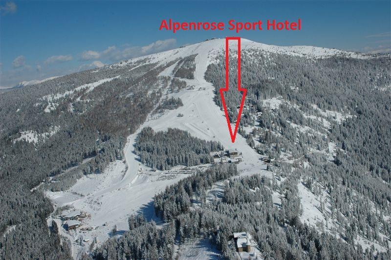 Hotel Alpenrose Gerlitzen Треффен Экстерьер фото